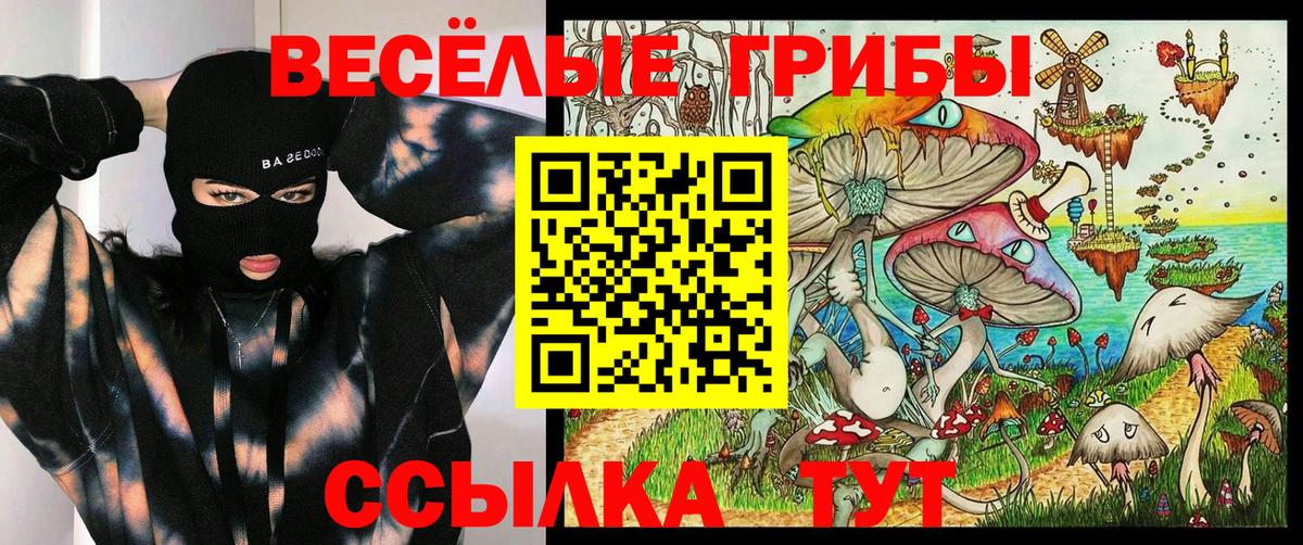 Углич  Галлюциногенные грибы MAGIC MUSHROOMS  Вход с VPN 