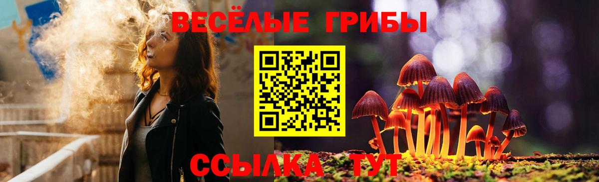 Галлюциногенные грибы Magic Shrooms Углич